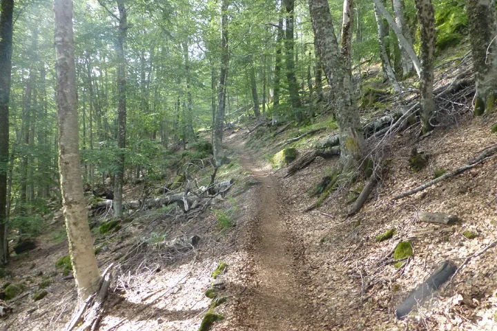 GR20 Week 2 climbing photo