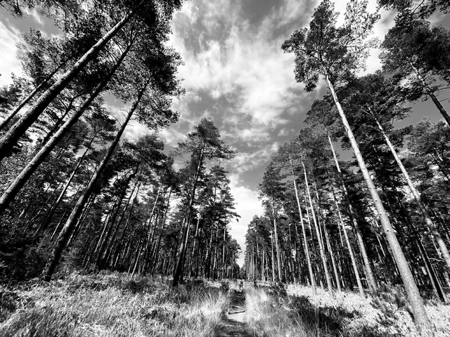 UK Scenic category winner, 2020 photographic competition