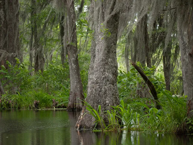 Foreign Scenic category winner, 2011 photographic competition