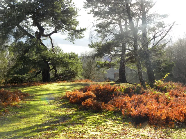 UK Scenic category winner, 2012 photographic competition